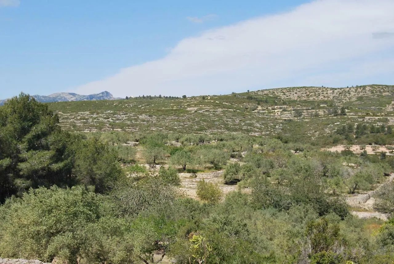 Apartamento Tramuntana El Perello  Apartment